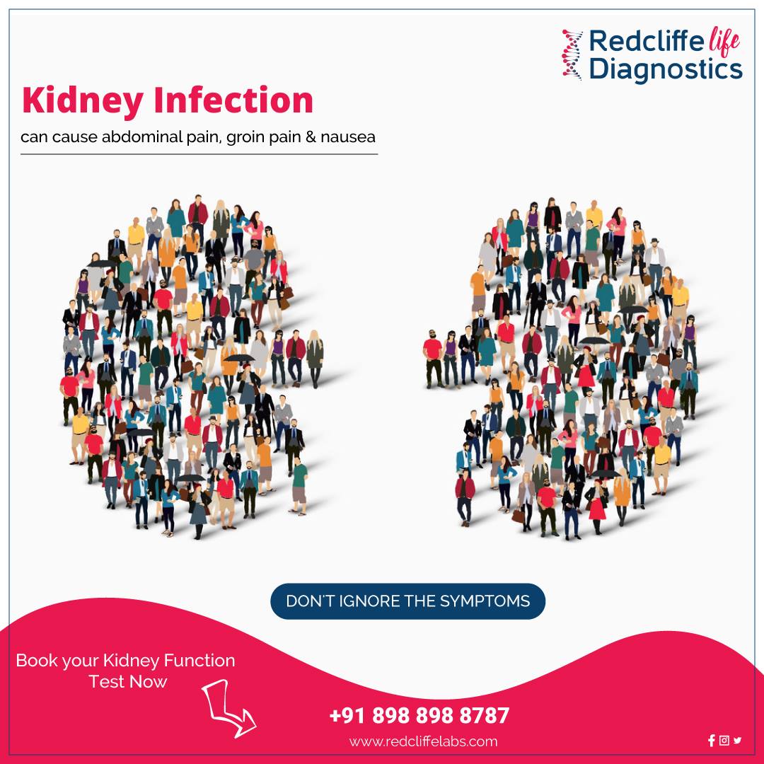 Kidney Function Test